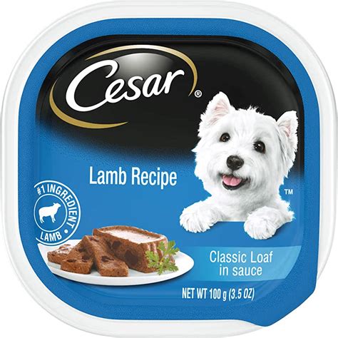 cesar dog food amazon